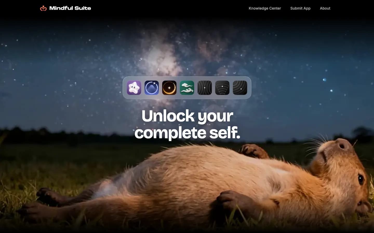 mindfulsuite.com: Unlock your complete self